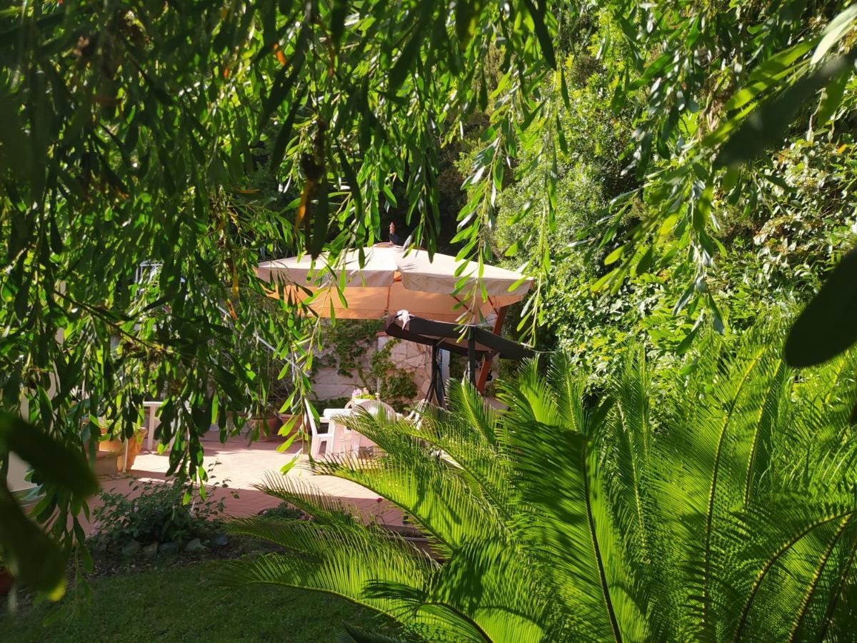Tra Mare E Bosco Nella Splendida Casa vacanze