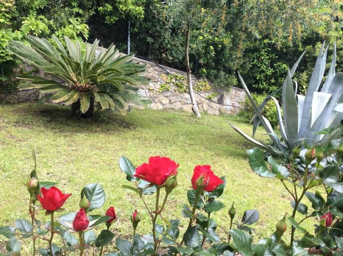 Tra Mare E Bosco Nella Splendida *
